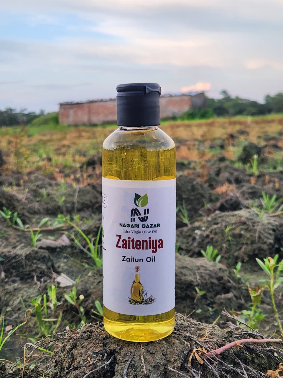 Zaiteniya Zaitun Oil